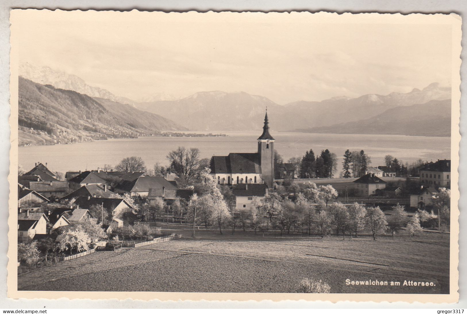 C6834) SEEWALCHEN Am ATTERSEE - Kirche Gärten - Häuser ALT - Attersee-Orte