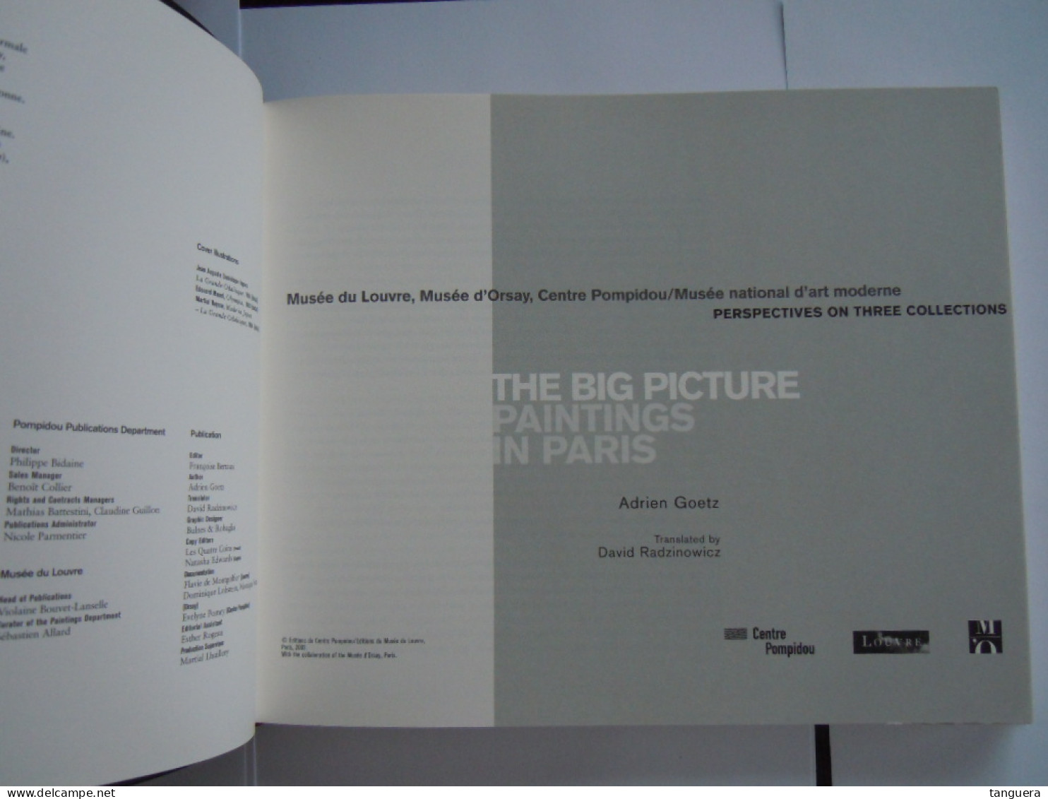 The Big Picture: Paintings In Paris Perspectives On Three Collections 2003 - Author: Adrien Goetz - Schöne Künste