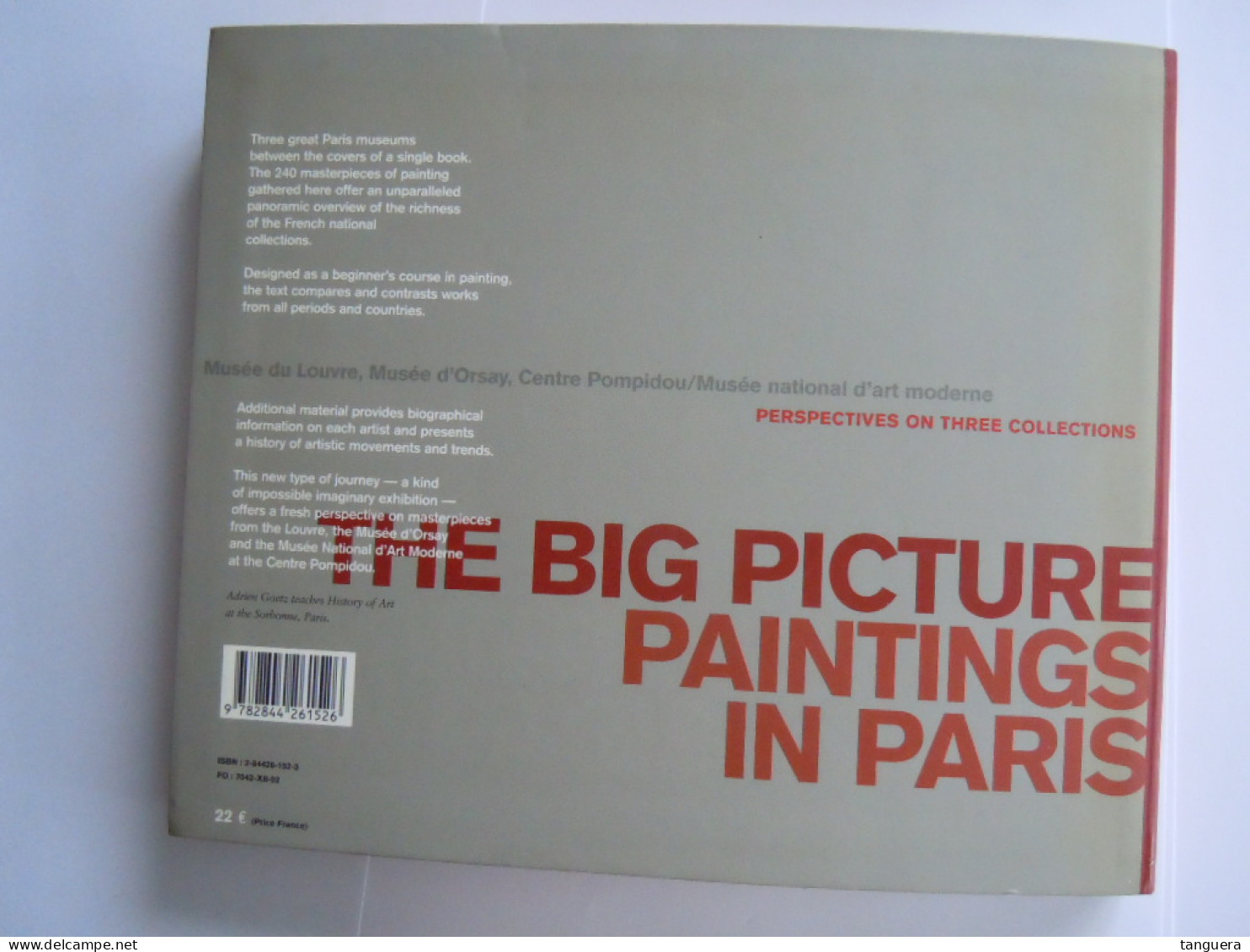 The Big Picture: Paintings in Paris Perspectives on three collections 2003 - Author: Adrien Goetz