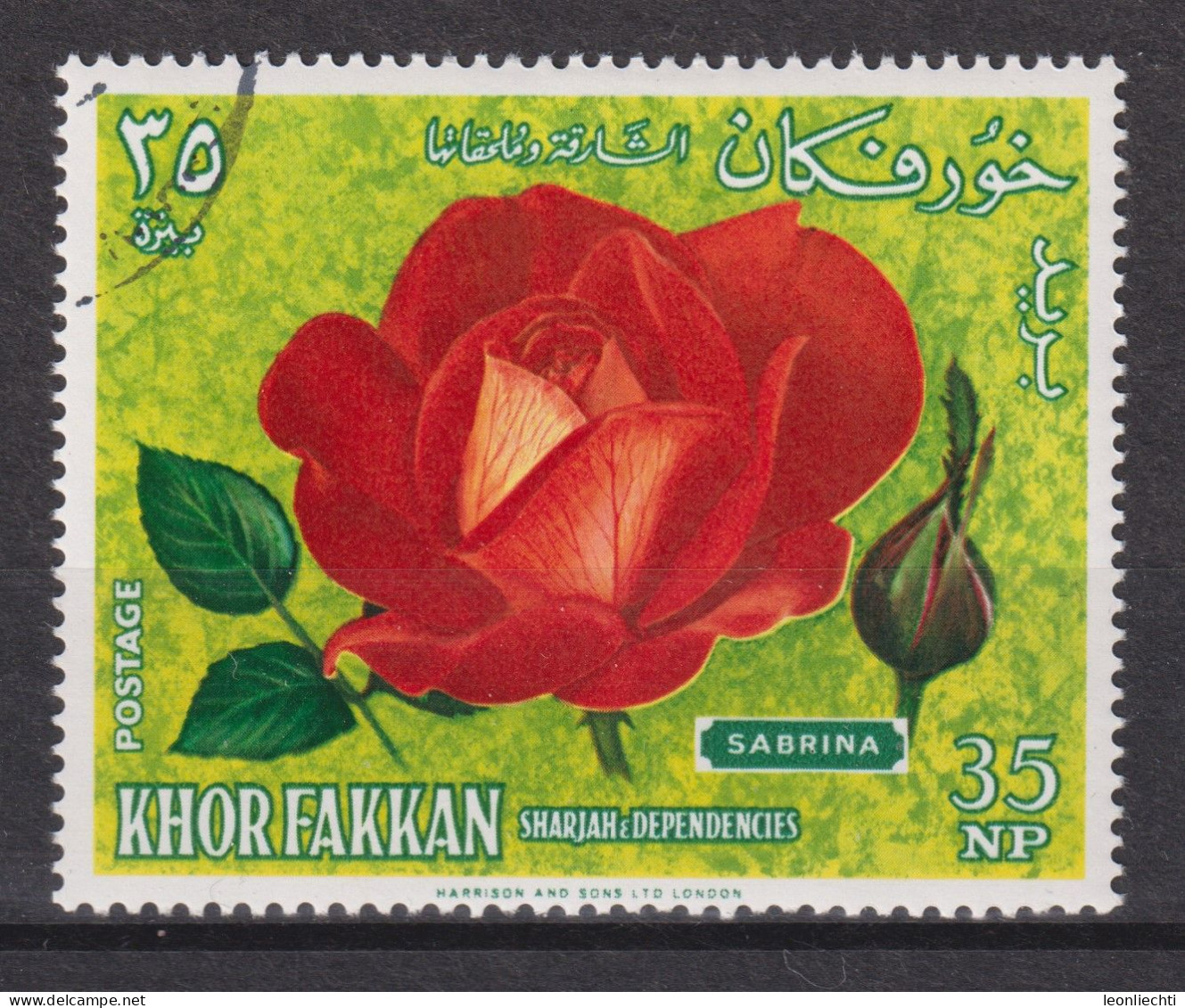 1966 Khor Fakkan  Mi:AE-KF 55A, Yt:AE-KF 25-B, Red Yellow Polyantha Hybrid "Sabrina"; French Breeding - Khor Fakkan