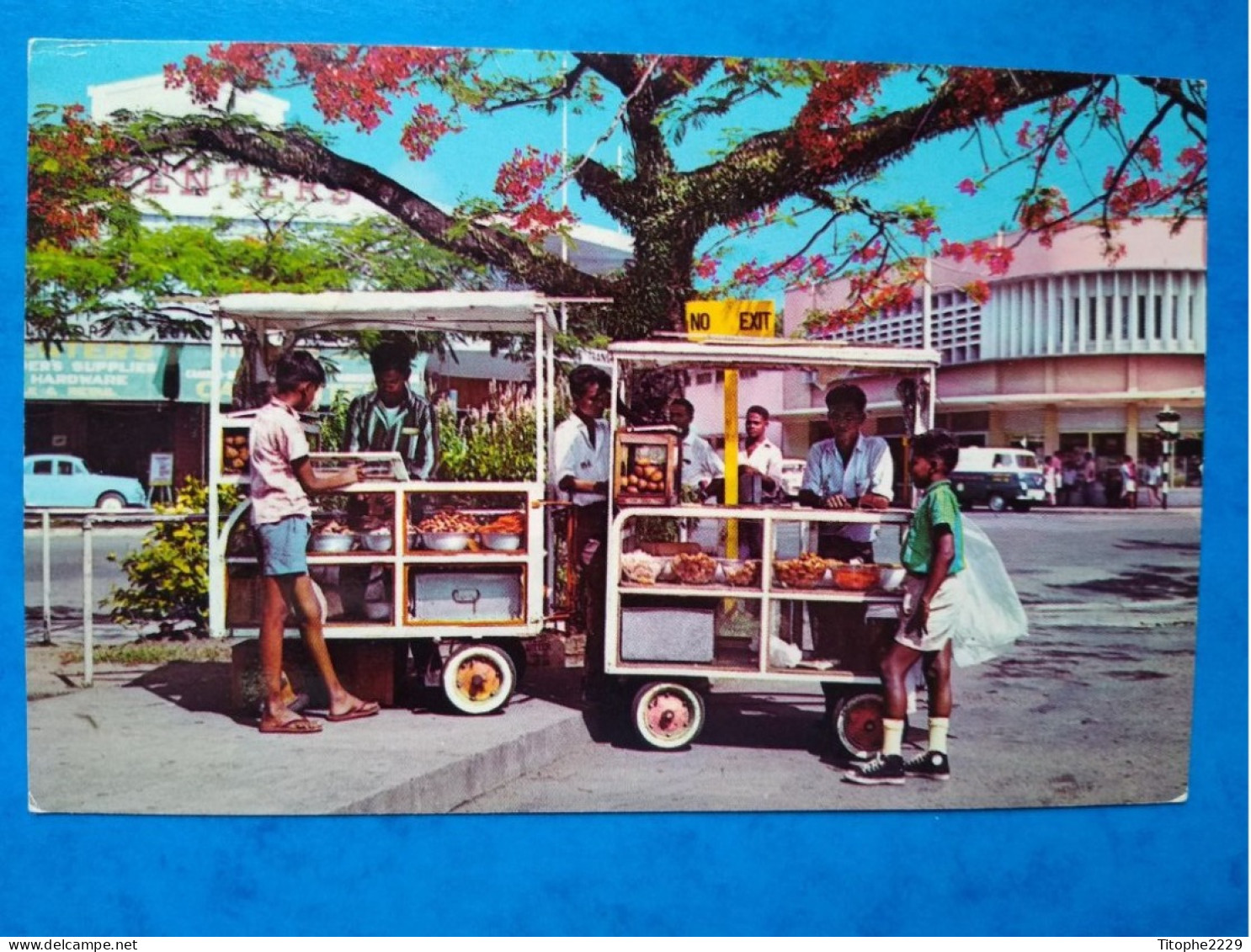 Fidji - Fiji - Sweet Meat Vendors Under The Shade Of A Flamboyant Tree, Vendors Await The Lunch Rush - Fidji