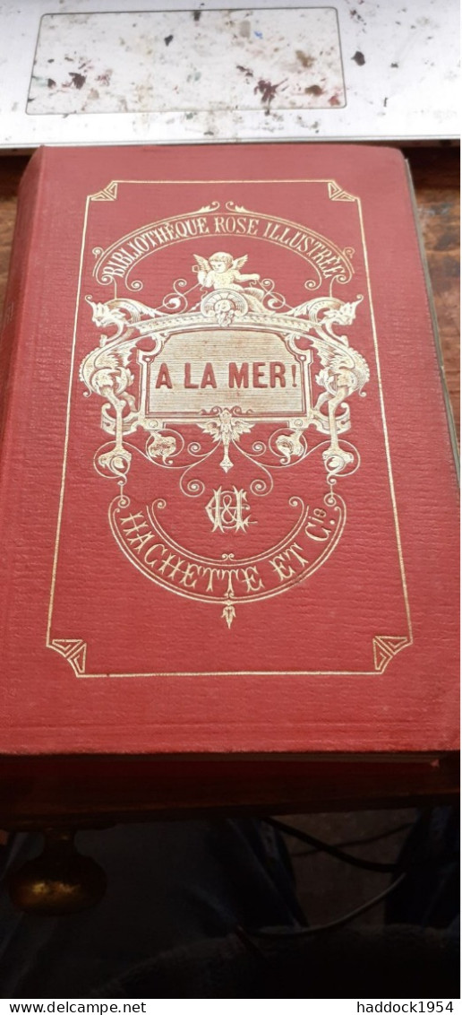 à La Mer Capitaine MAYNE-REID Hachette 1882 - Bibliotheque Rose