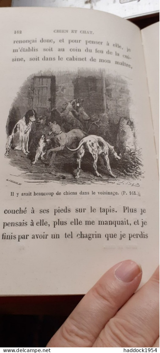 Chien Et Chat Ou Mémoires De Capitaine Et De Minette A.DEBARRART  Hachette 1882 - Biblioteca Rosa