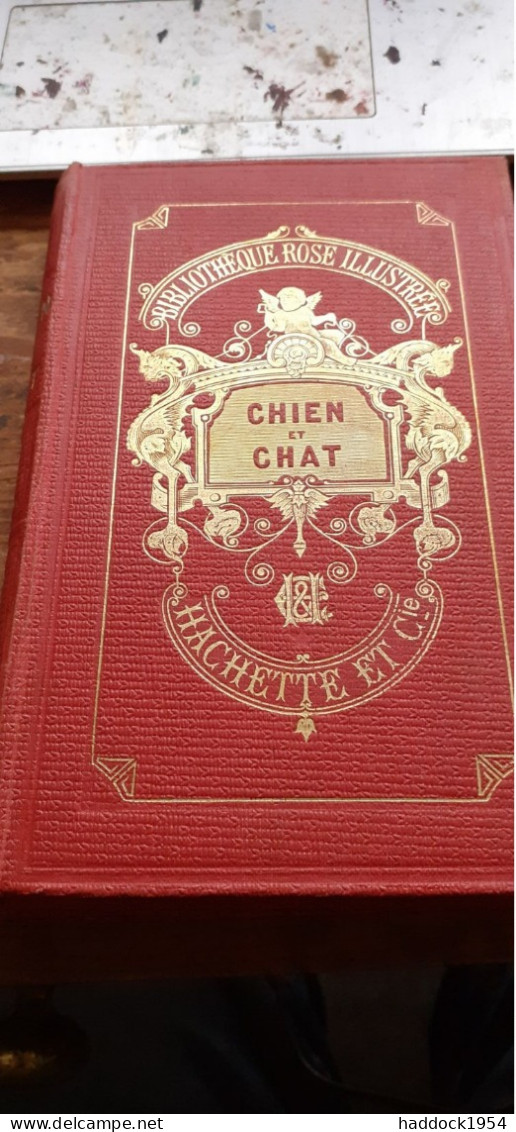 Chien Et Chat Ou Mémoires De Capitaine Et De Minette A.DEBARRART  Hachette 1882 - Biblioteca Rosa