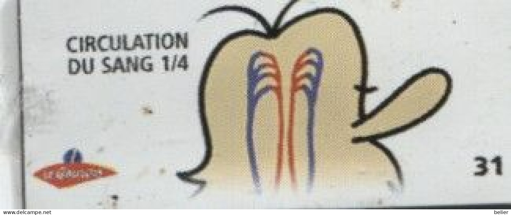 MAGNET CIRCULATION DU SANG 1/4 - Magnete