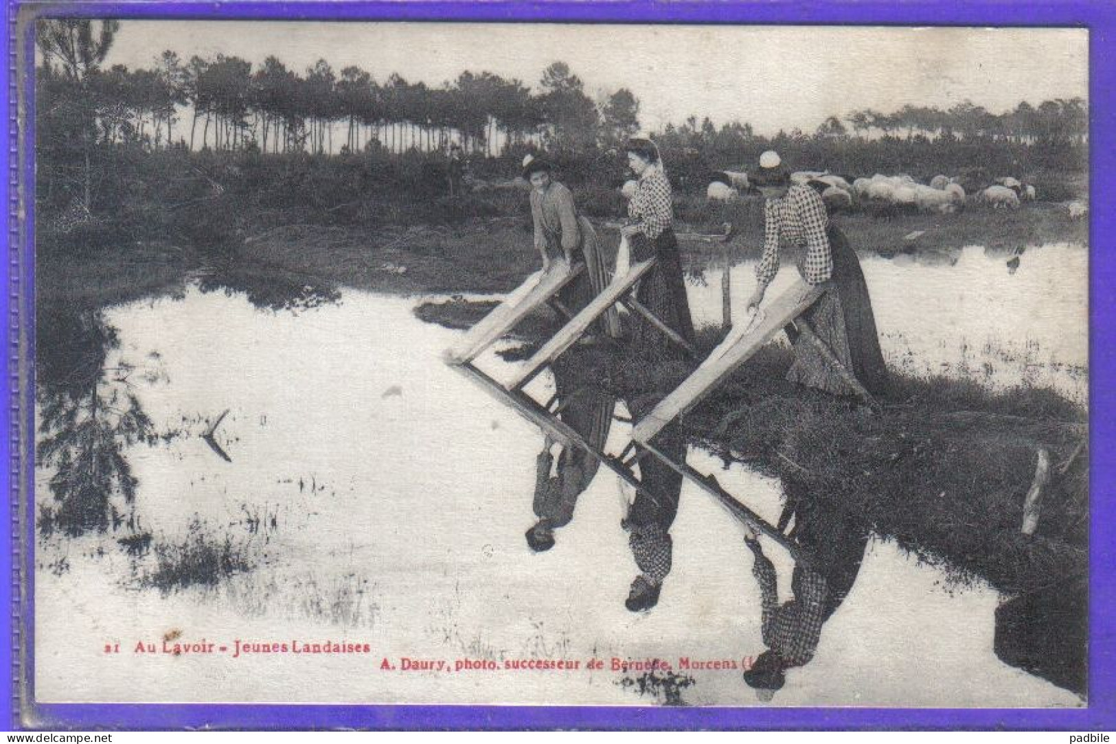 Carte Postale 40. Morcenx Au Lavoir  Jeunes Landaises   Très Beau Plan - Morcenx