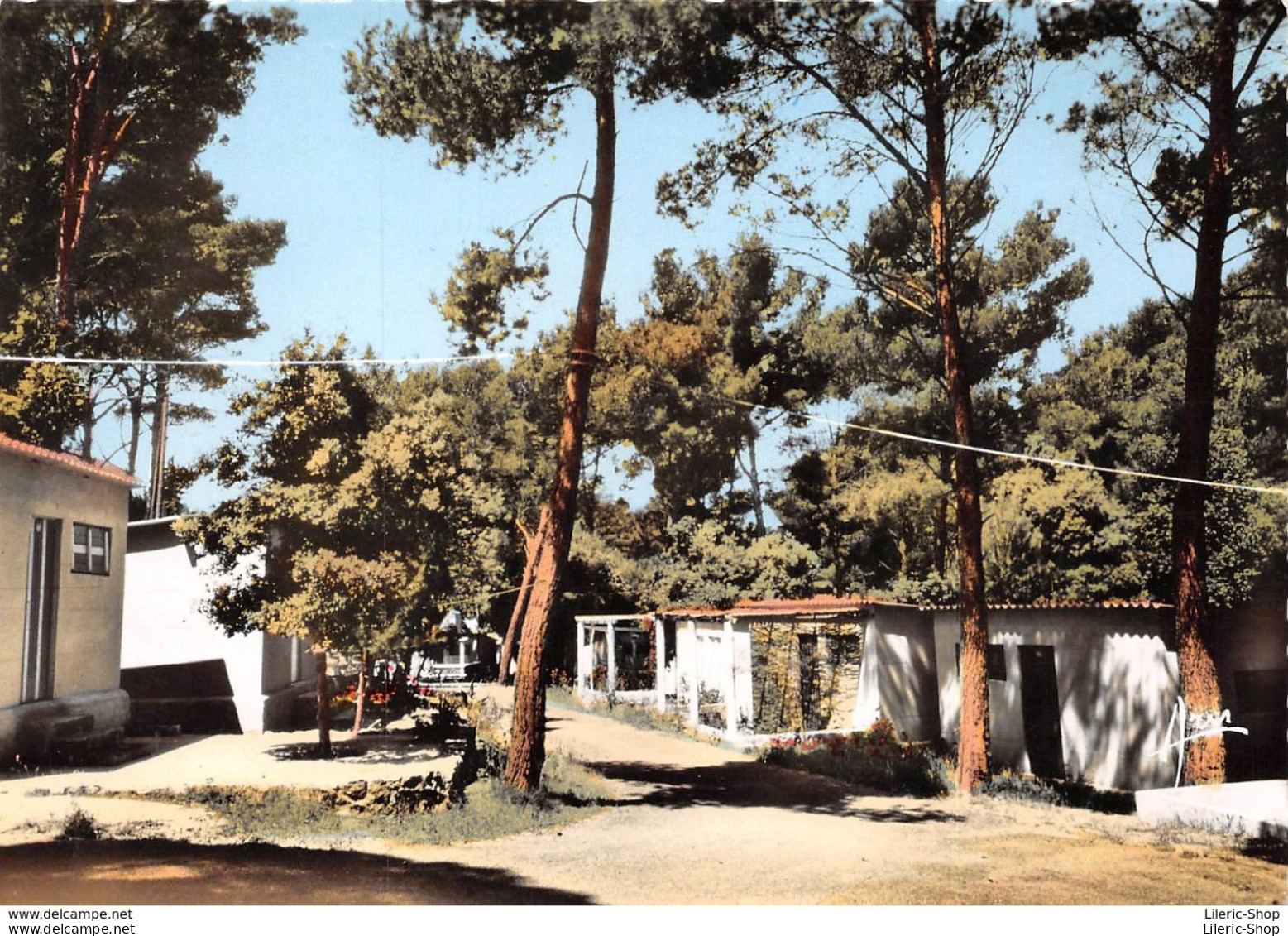 2 CPSM ±1960 SANARY SUR MER Maison Familiale De Vacances " FONTVIVE " - Édit. ARIS - Sanary-sur-Mer