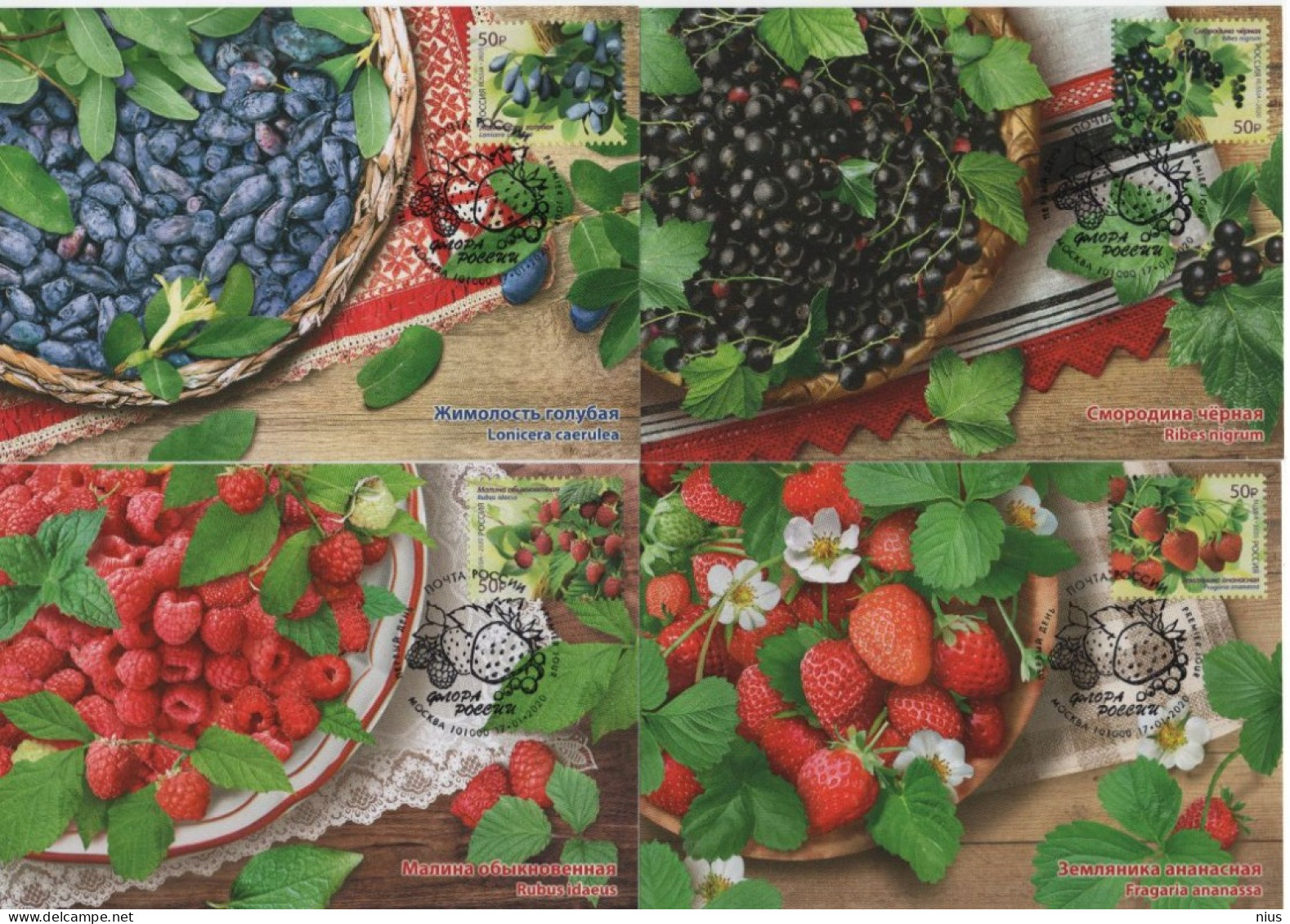 Russia 2020 Maximum Cards Card X4, Flora Of Russia, Berries Berry - FDC