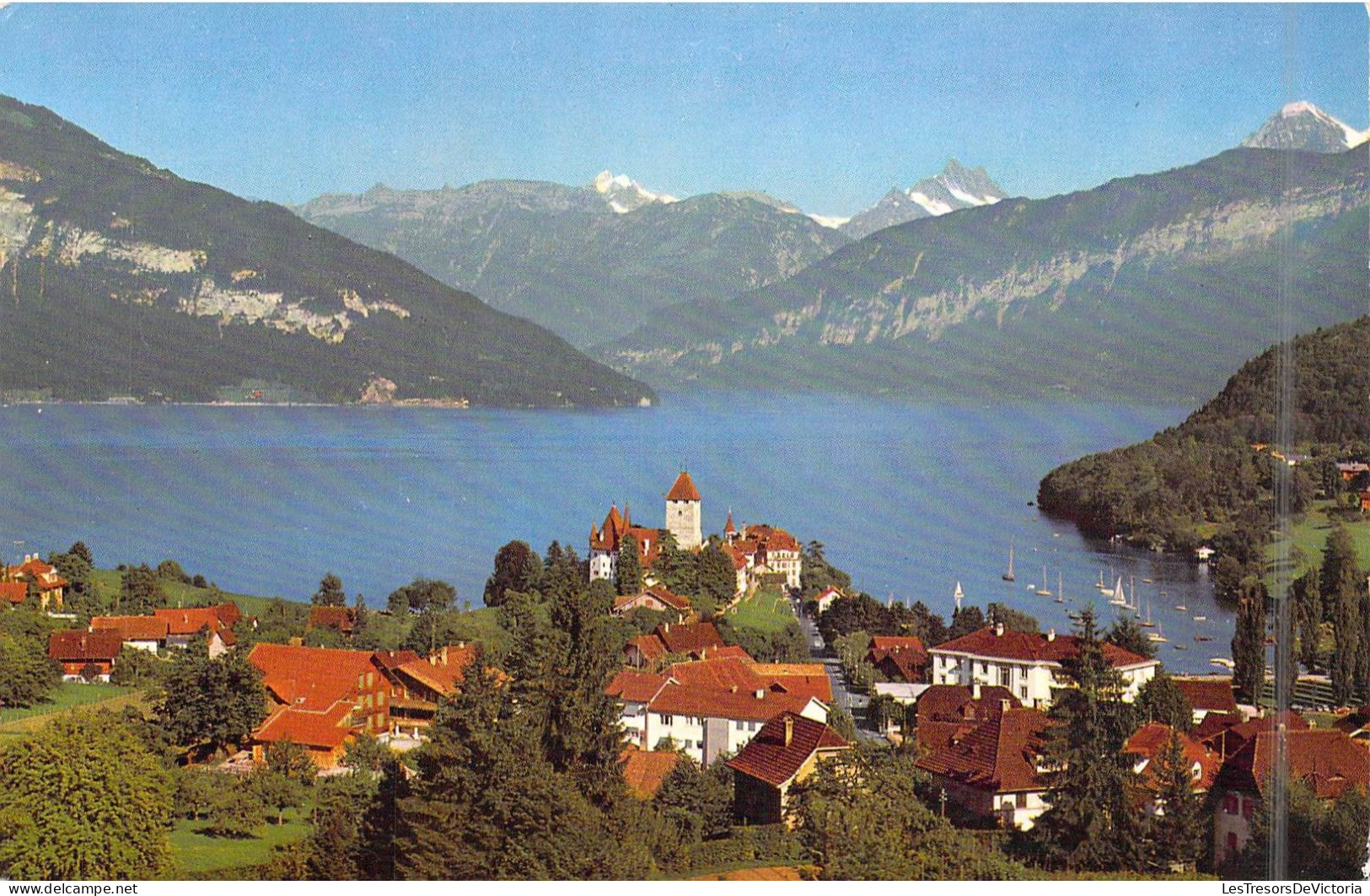 SUISSE - Spiez Am Thunersee - Wetterhorn - Schreckhorn - Eiger - Carte Postale Ancienne - Spiez