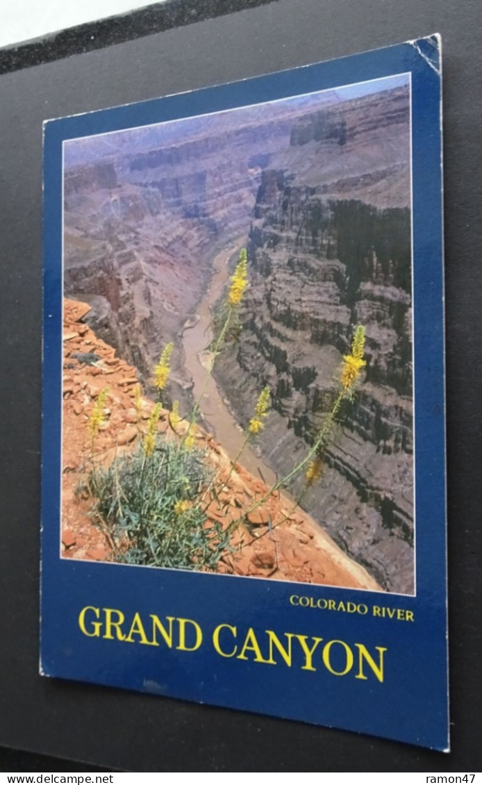 Scenic Beauty At The Grand Canyon - Petley Studios, Arizona - # 1471 - Grand Canyon