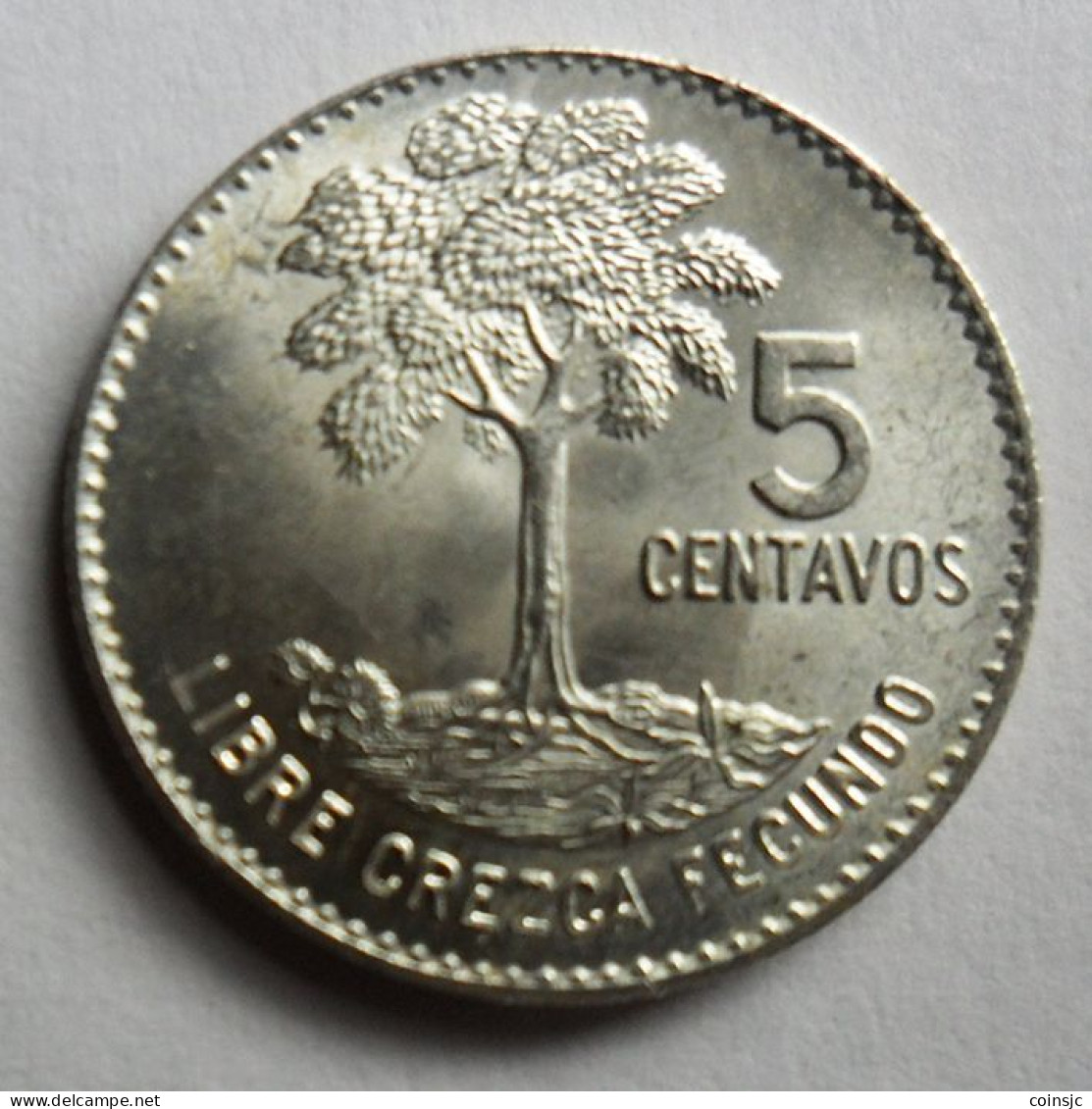 GUATEMALA - 5 Centavos - 1961 - Guatemala