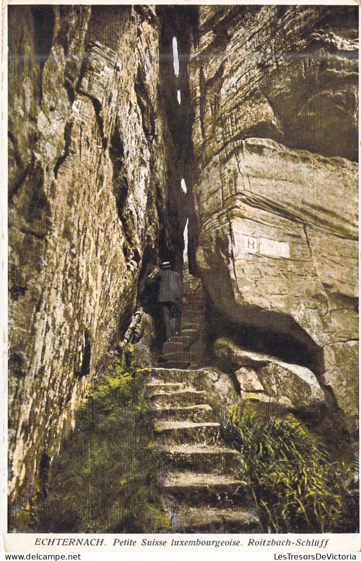 LUXEMBOURG - Echternach - Petite Suisse Luxembourgeoise - Roitzbach-Schluff - Carte Postale Ancienne - Other & Unclassified