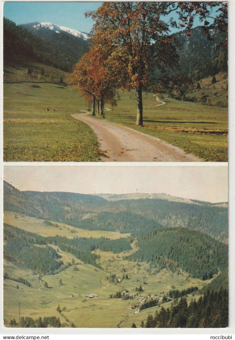Menzenschwand, Hochschwarzwald, Baden-Württemberg - Hochschwarzwald