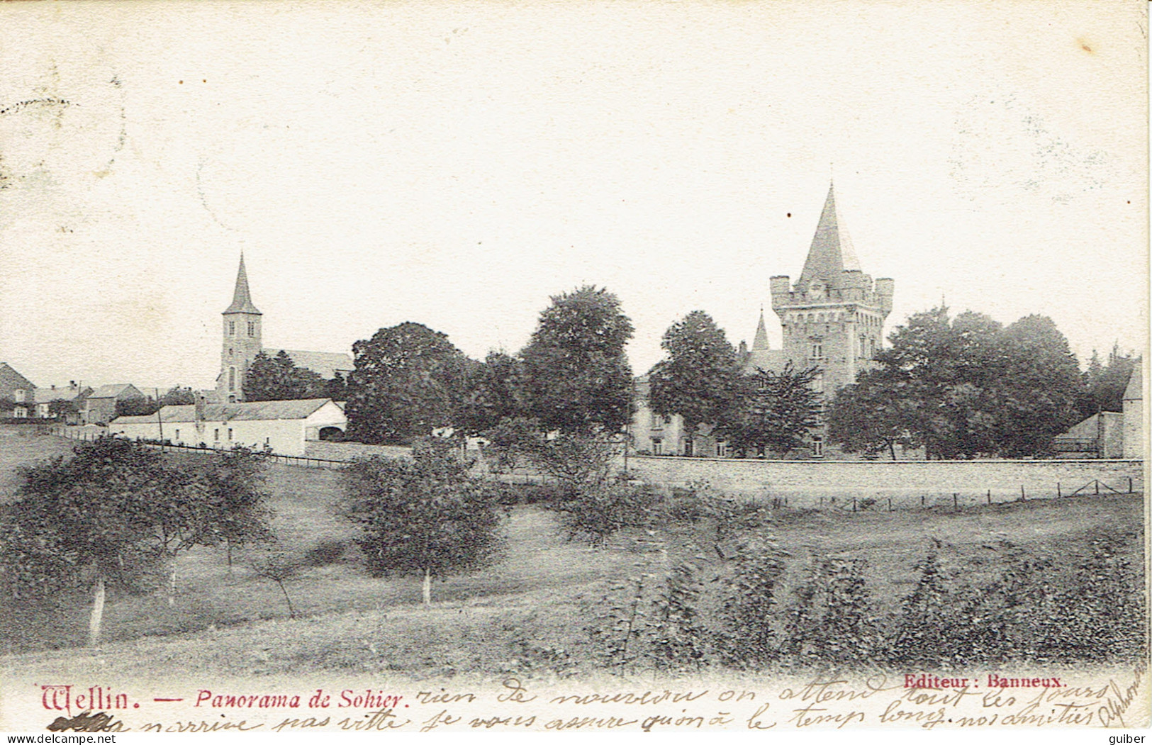 Wellin Panorama De Sohier   Edit. Banneux 1903 - Wellin