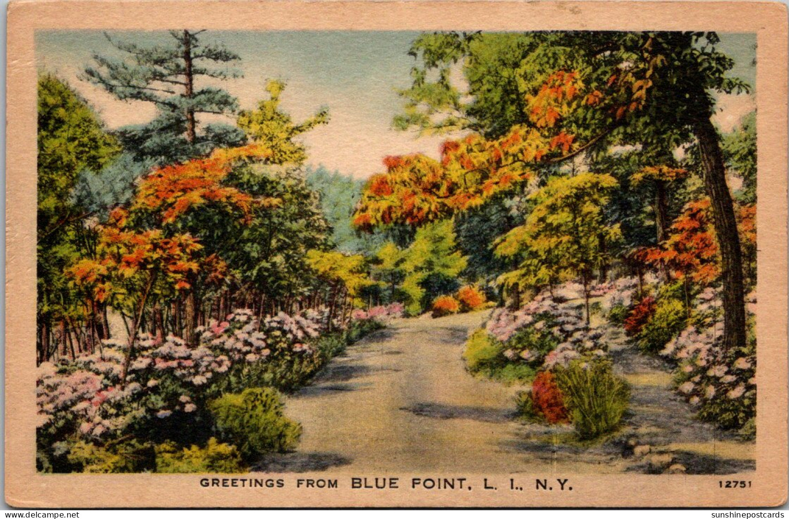 New York Greetings From Blue Point Long Island - Long Island