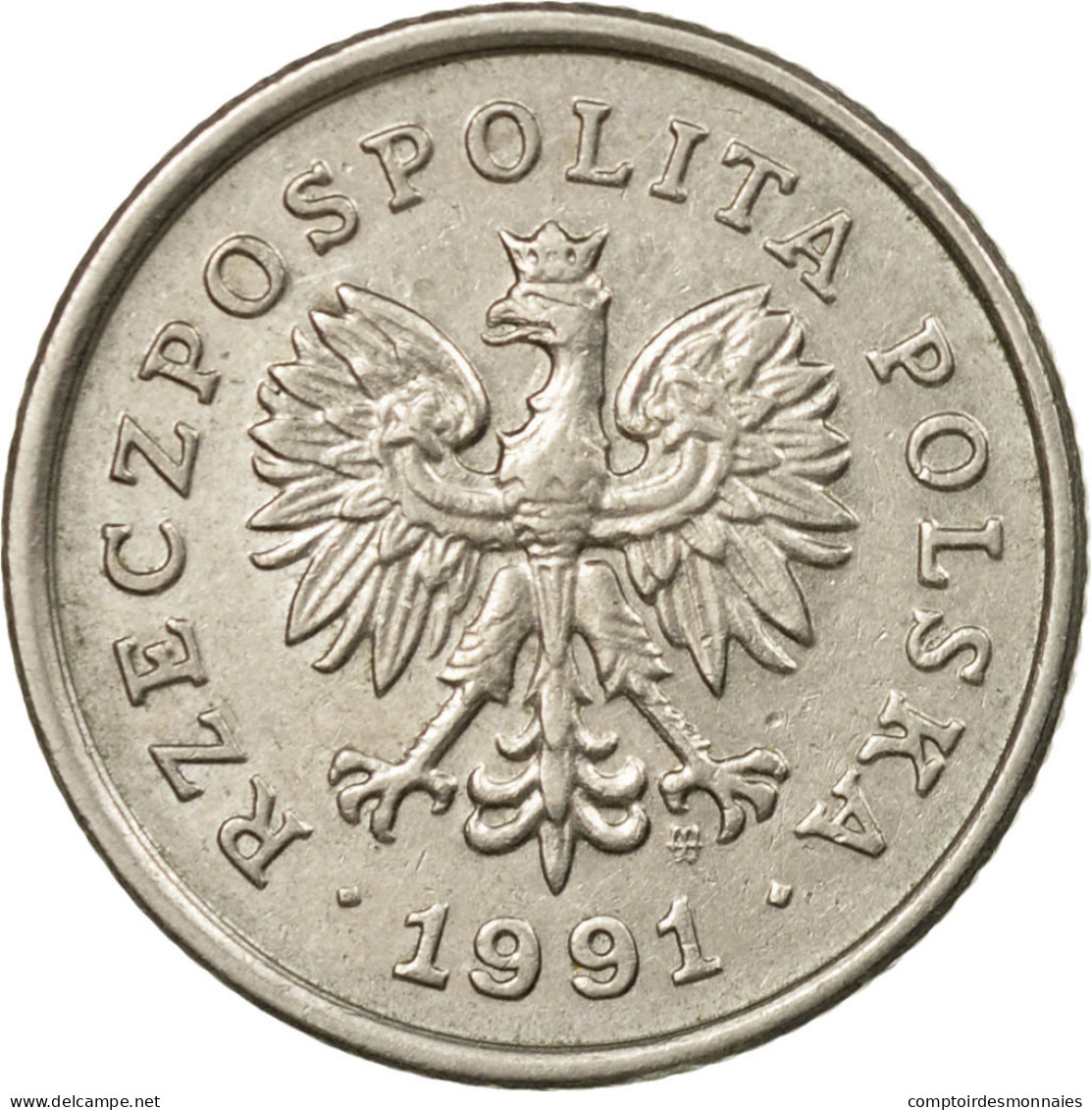 Monnaie, Pologne, 50 Groszy, 1991, Warsaw, TTB, Copper-nickel, KM:281 - Pologne