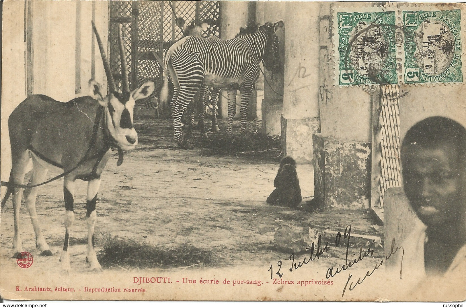 DJIBOUTI - UNE ECURIE DE PUR SANG - ZEBRES APPRIVOISES - ED. ARABIANTZ - GOOD FRANKING 1909 - Cebras