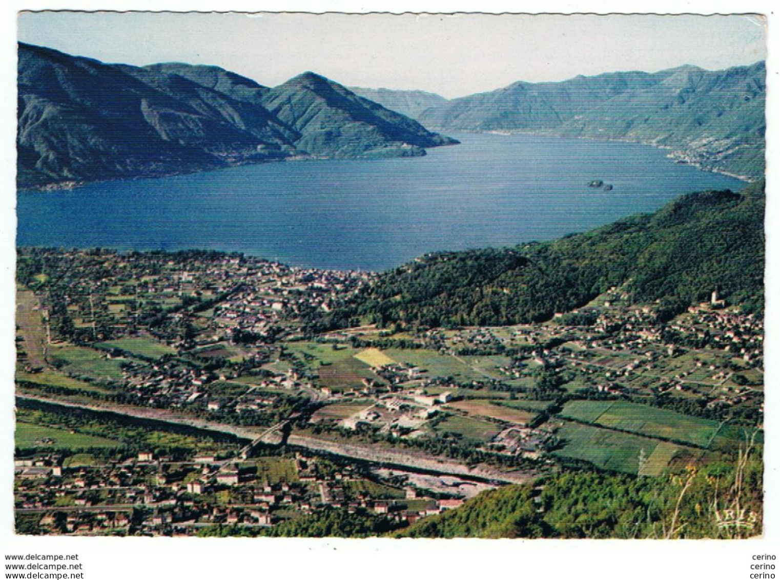 ASCONA - LOSONE:  LAGO  MAGGIORE  -  VISTO  DA  MONTE  BRE  -  FOTO  PANCALDI  -  FG - Losone