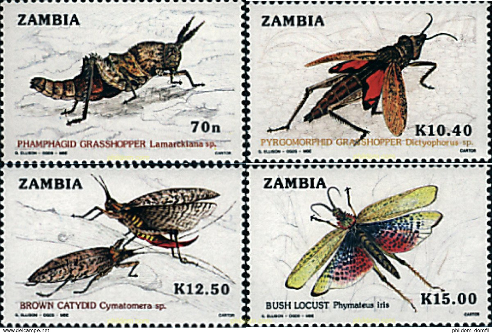 34267 MNH ZAMBIA 1989 INSECTOS - Araignées