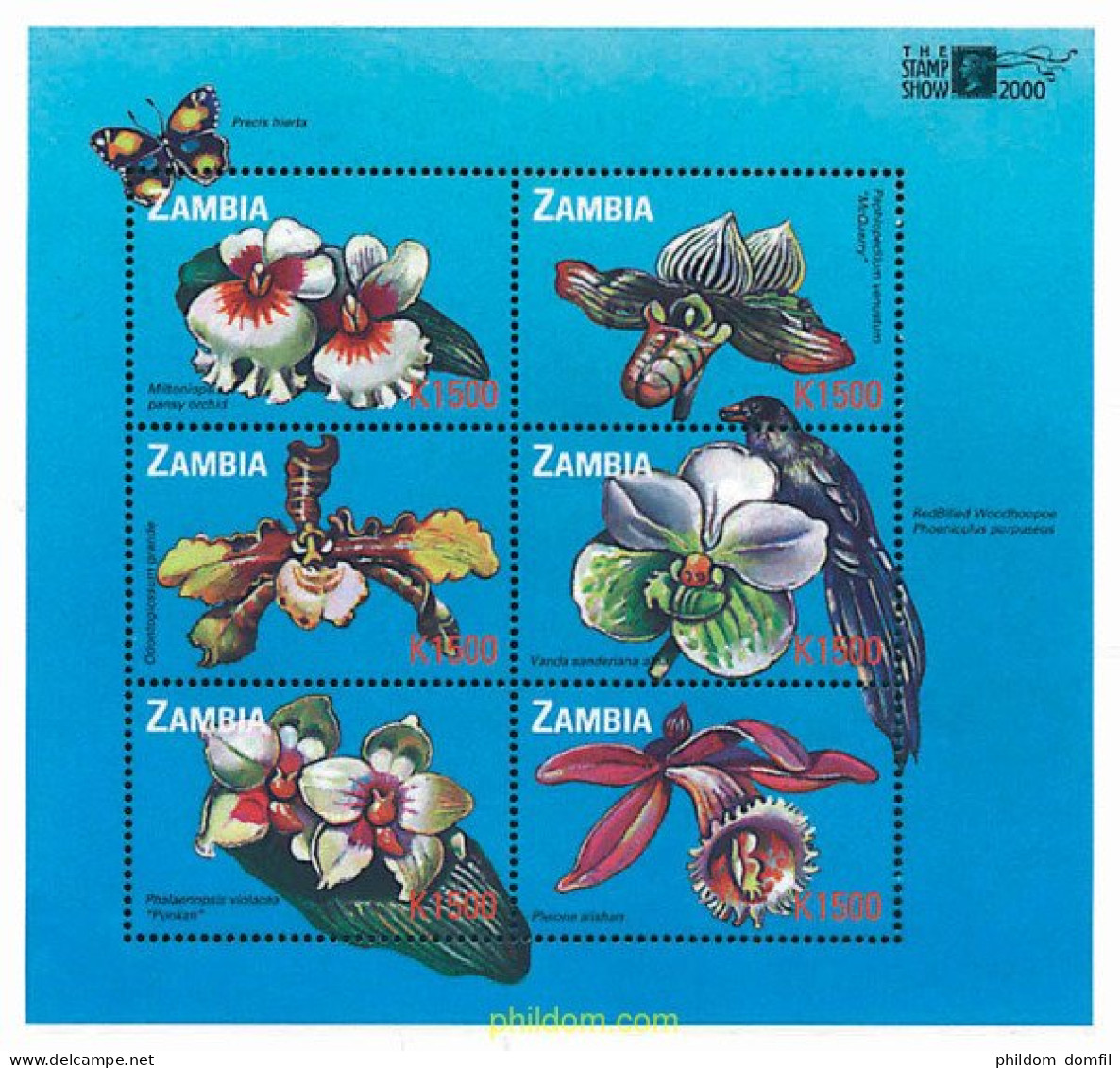 667717 MNH ZAMBIA 2000 THE STAMP SHOW 2000. EXPOSICION FILATELICA INTERNACIONAL - Araignées