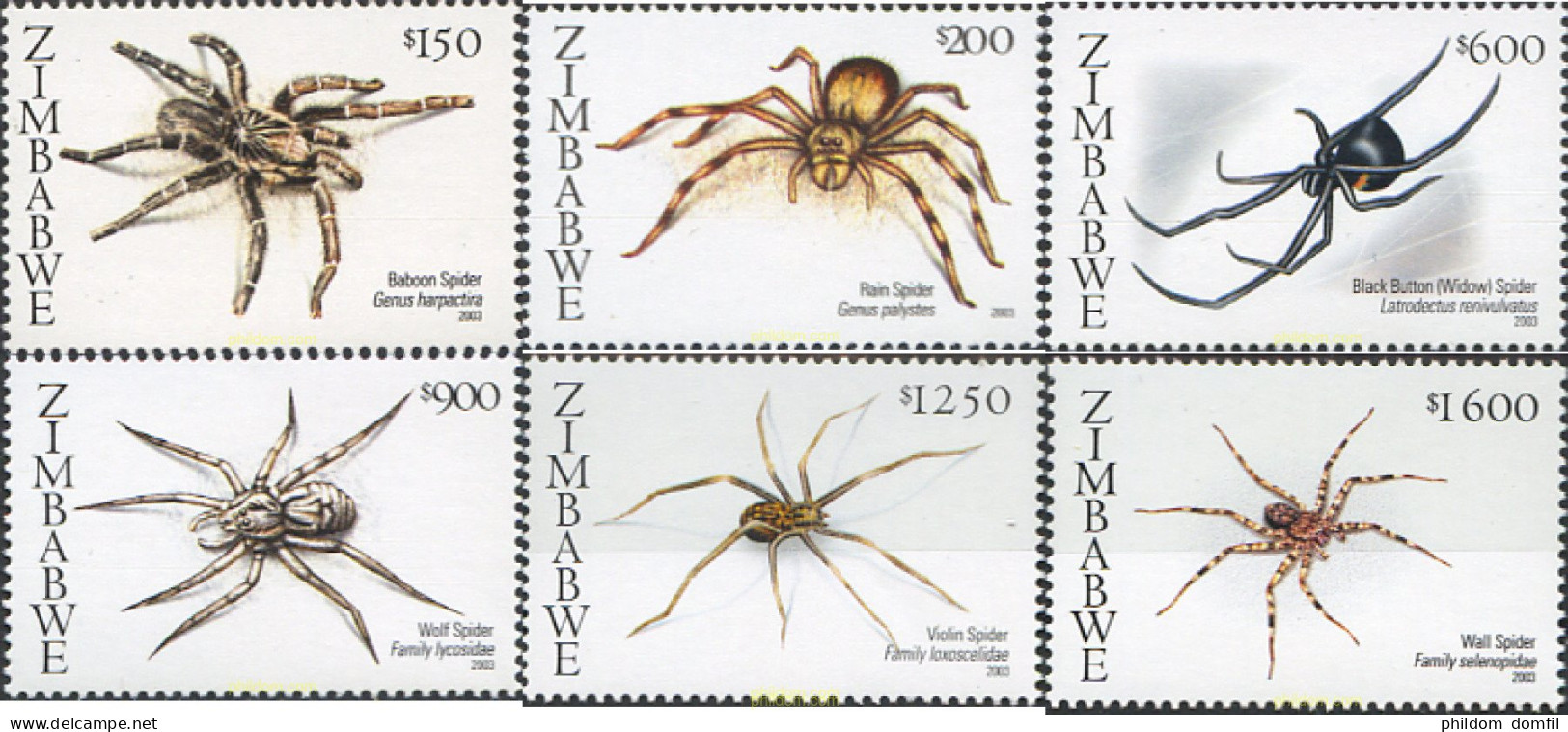 233104 MNH ZIMBABUE 2003 ARAÑAS - Spiders