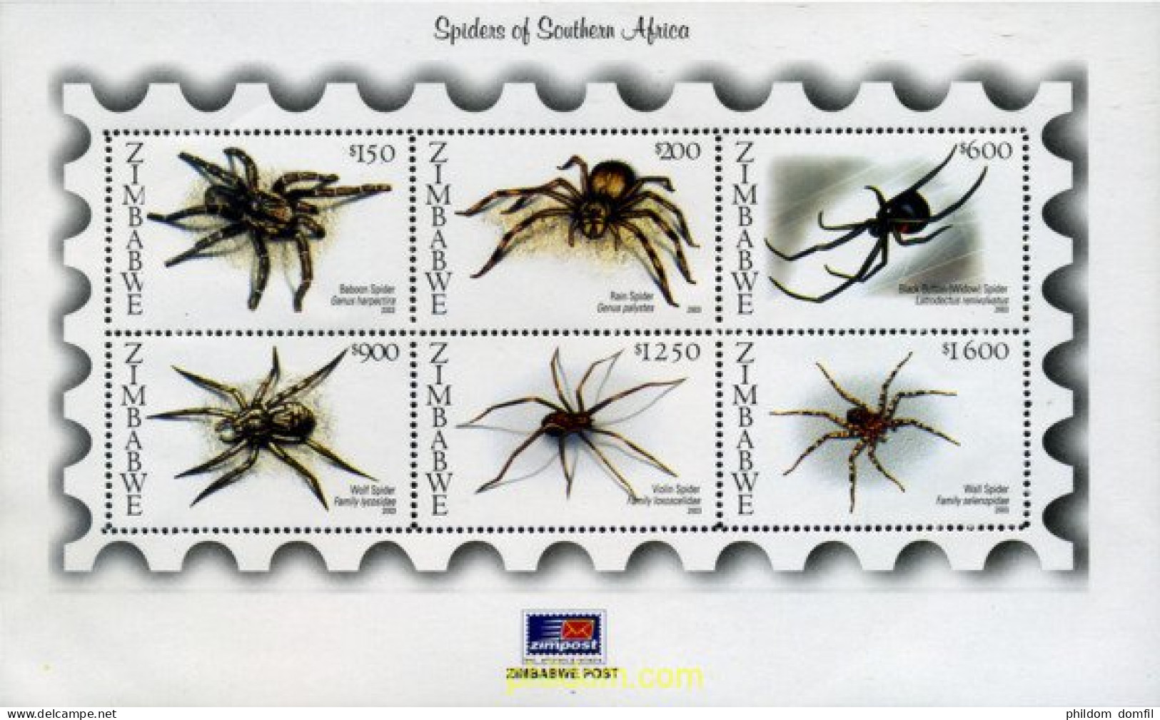 297911 MNH ZIMBABUE 2003 ARAÑAS - Spiders