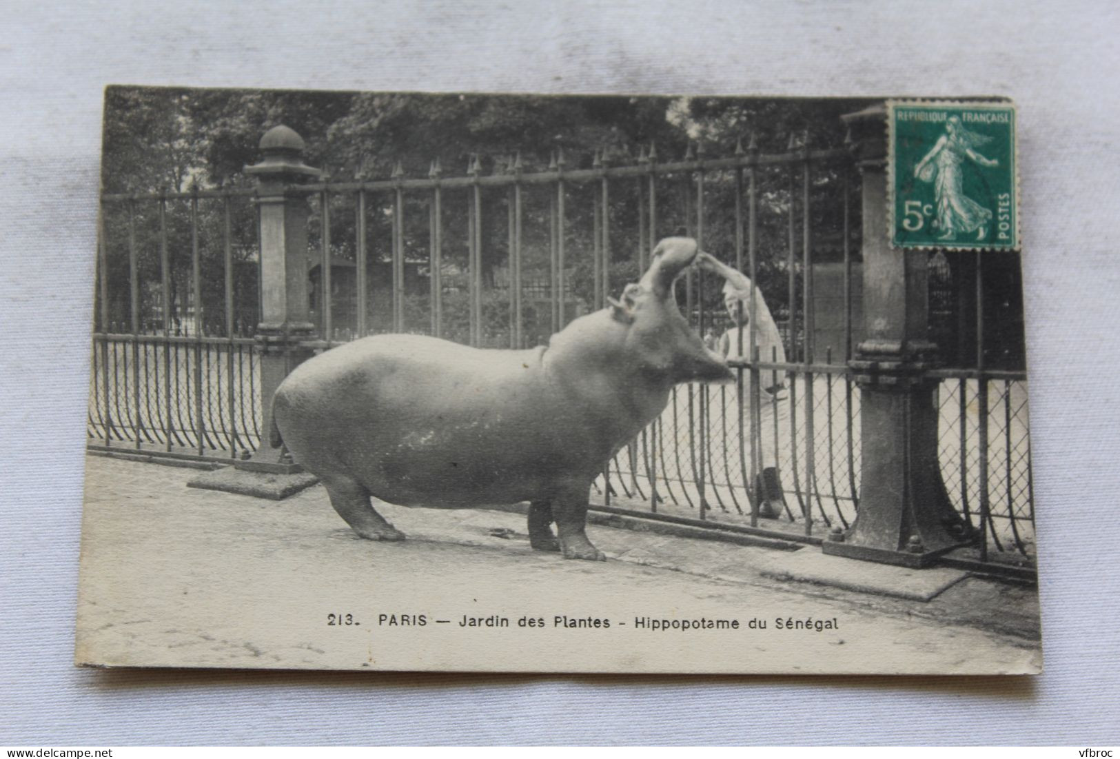 Cpa 1910, Paris 75, Jardin Des Plantes Hippopotame Du Sénégal, Animaux - Flusspferde