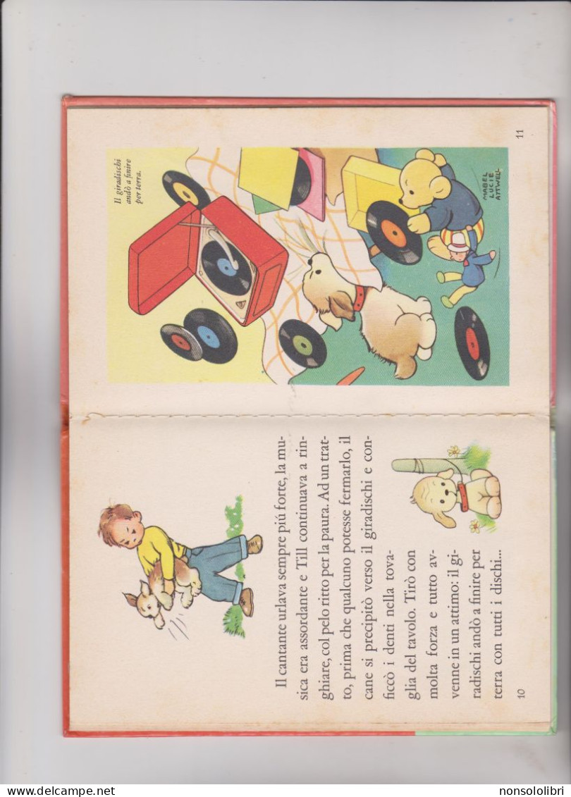 LIBRO EDIZIONE "PICCOLI",  TILL . IL  CUCCIOLO  - COLLANA  GIRASOLE .   ILLUSTRATO DA  MABEL  LUCIE  ATTWELL - Bambini E Ragazzi