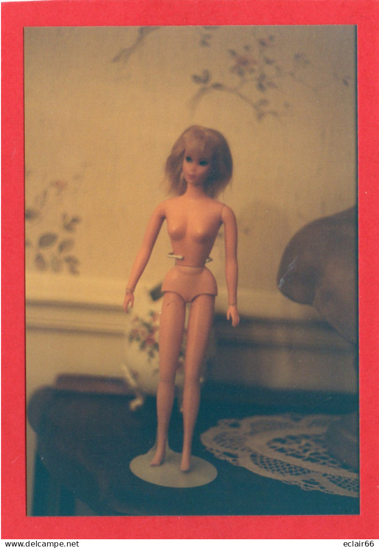 Poupée BARBIE  Collection Divas Photo Poupée Sans Vétements   état Impeccable Voir Scannes Recto-verso (1) - Barbie