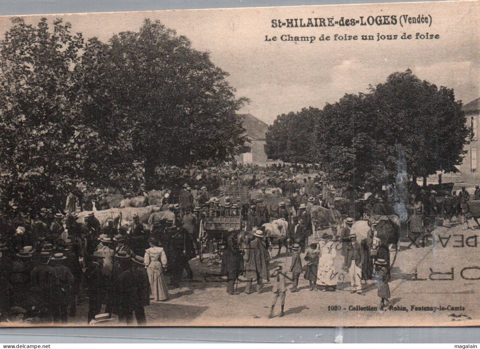 St Hilaire Des Loges : Le Champ De Foire Un Jour De Foire - Saint Hilaire Des Loges