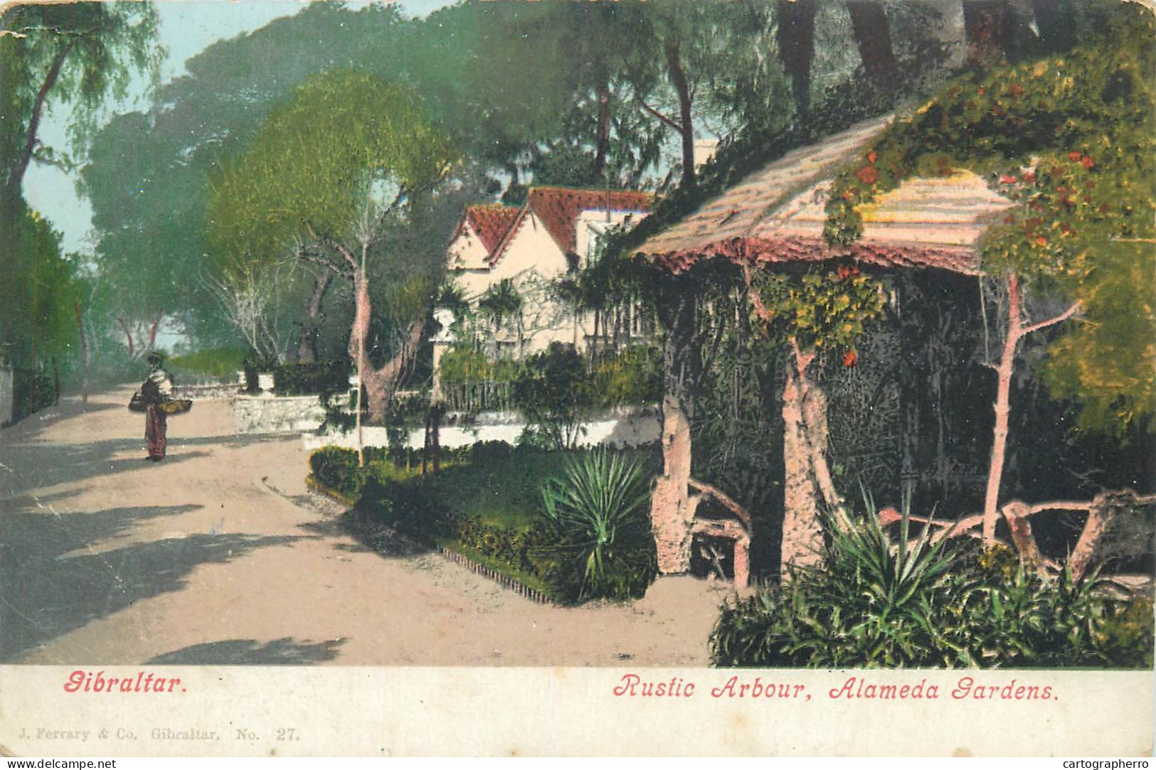 Gibraltar Rustic Arbour Alameda Gardens J. FERRARY Photochrome Postcard - Gibraltar