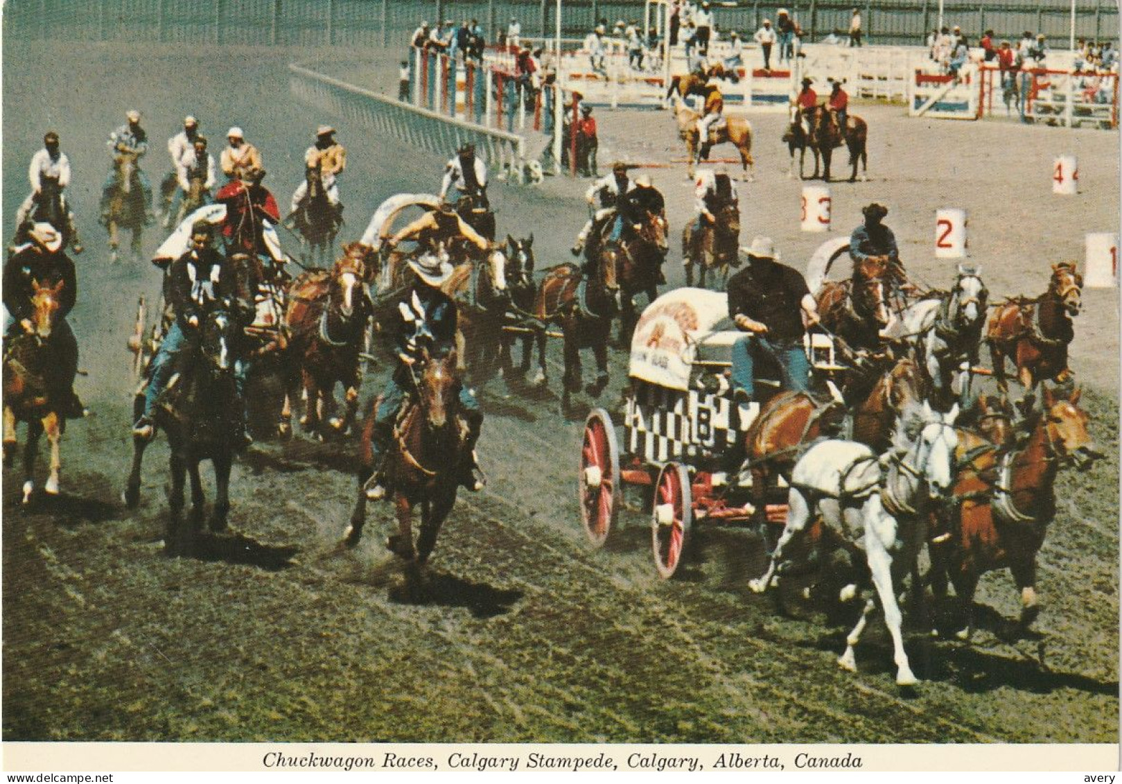 Chuckwagon Races, Calgary Stampede, Calgary, Alberta - Calgary