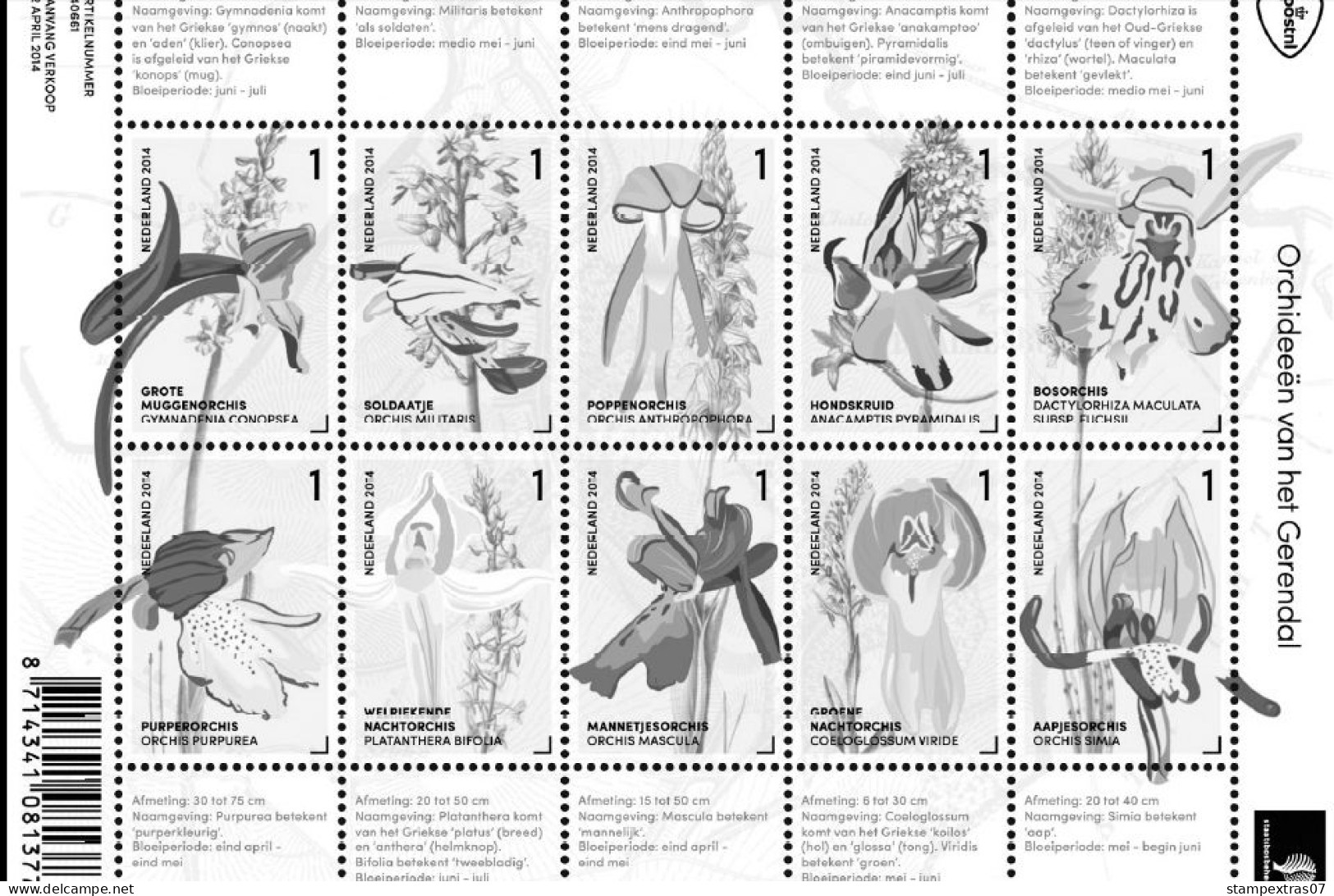 NETHERLANDS 1852-2010 + 2011-2020 STAMP ALBUM PAGES (474 b&w illustrated pages)