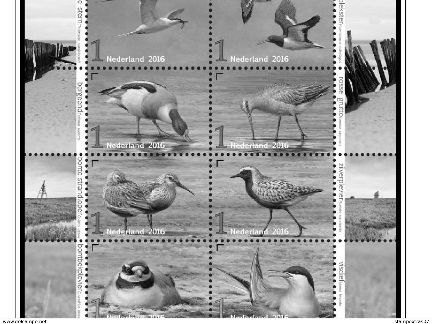 NETHERLANDS 1852-2010 + 2011-2020 STAMP ALBUM PAGES (474 b&w illustrated pages)