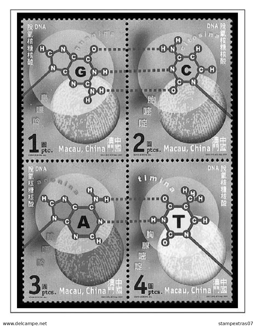 MACAO [SAR] 1999-2010 + 2011-2020 STAMP ALBUM PAGES (248 b&w illustrated pages)