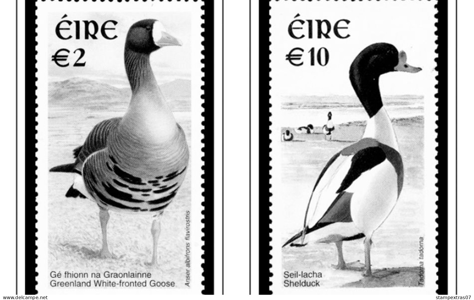 IRELAND 1922-2010 + 2011-2020 STAMP ALBUM PAGES (336 b&w illustrated pages)