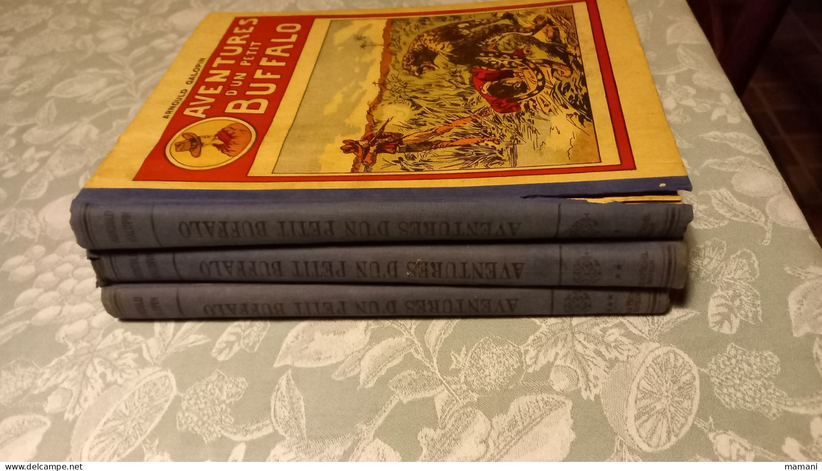 Lot De 3  -aventures D'un Petit  Buffalo- - Bücherpakete
