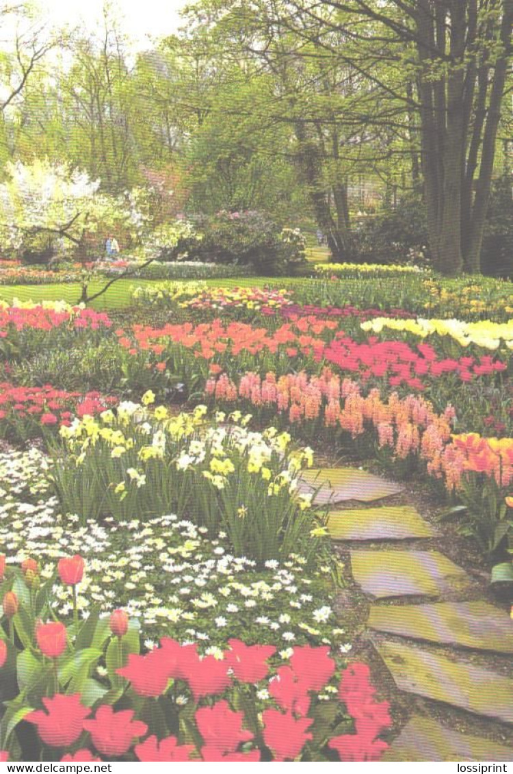 Netherlands:Holland:Lisse, Botanical Garden, Flowers - Lisse