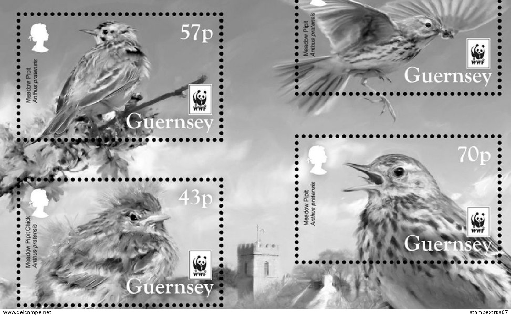 GB GUERNSEY 1958-2010 + 2011- 2020 STAMP ALBUM PAGES (212 b&w illustrated pages)