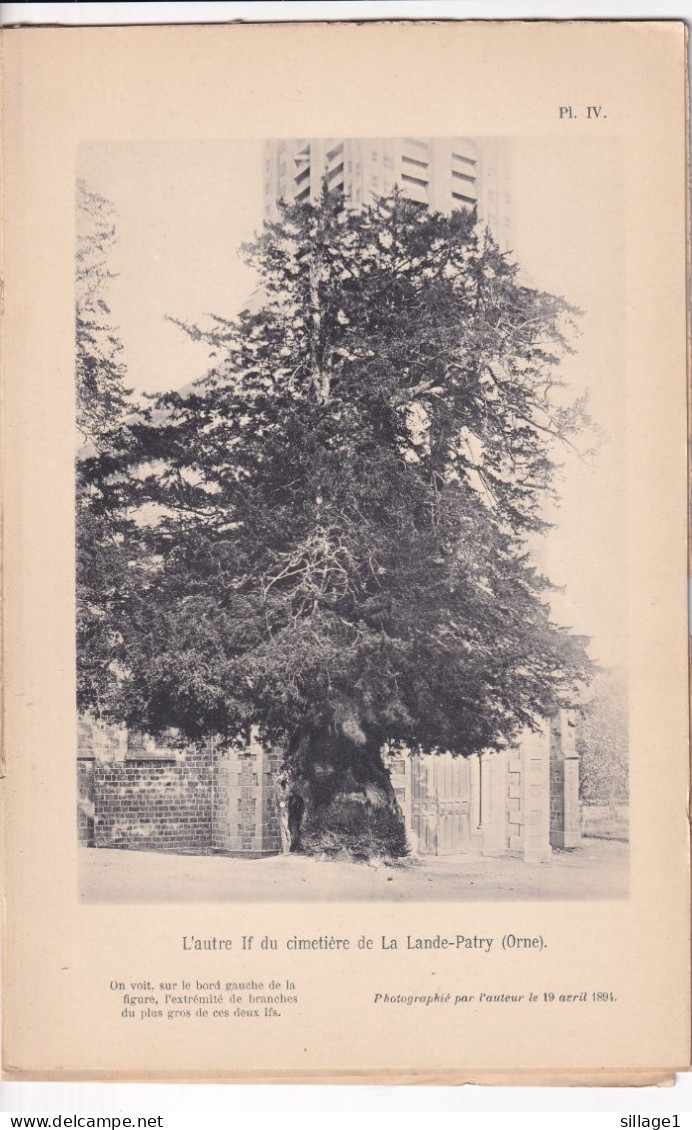 La Lande-Patry (Orne 61) IFS Du Cimetière - 2 Planches Anciennes Sortie D'un Livre - Photographié Le 19 Avril 1894 - Otros Planes