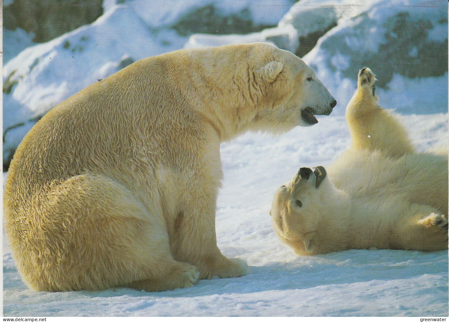 Germany 1999 Die Kleine Eisbär Postcard Ca Ilmenau 10.6.1999 (58678) - Faune Arctique