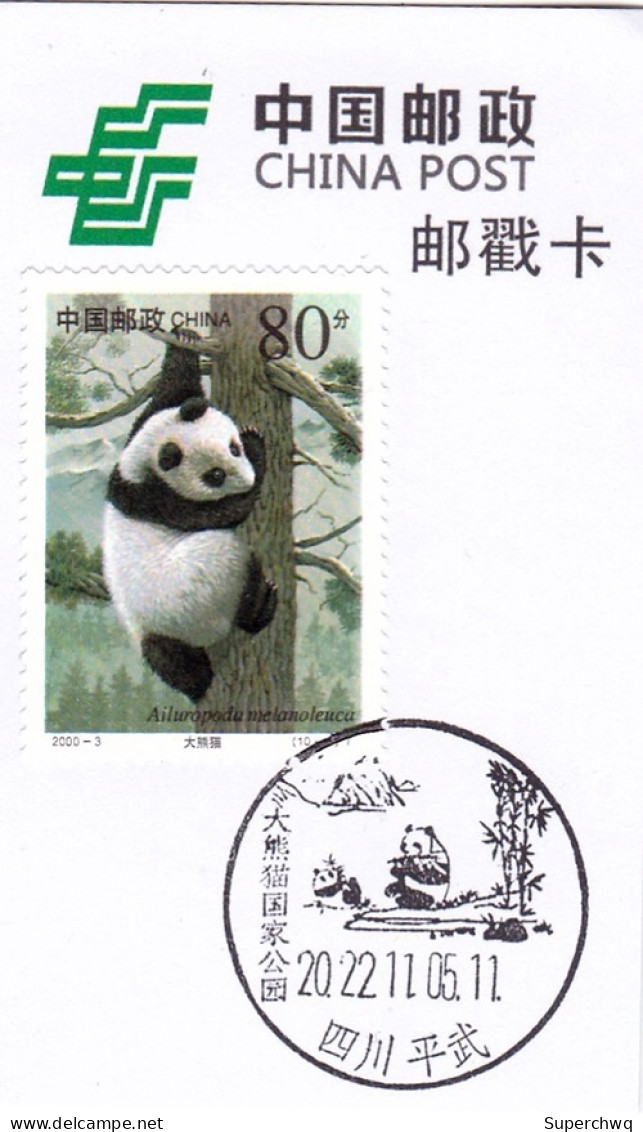 China Postmark Card,panda - Andere & Zonder Classificatie