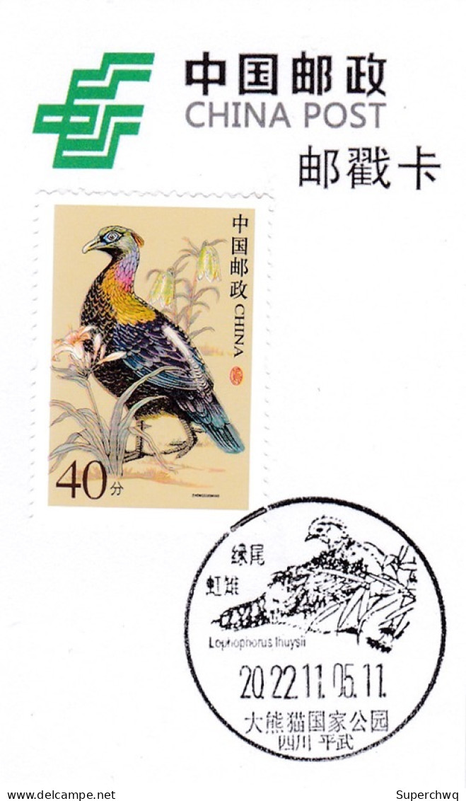 China Postmark Card,Green Tailed Rainpheasant - Other & Unclassified