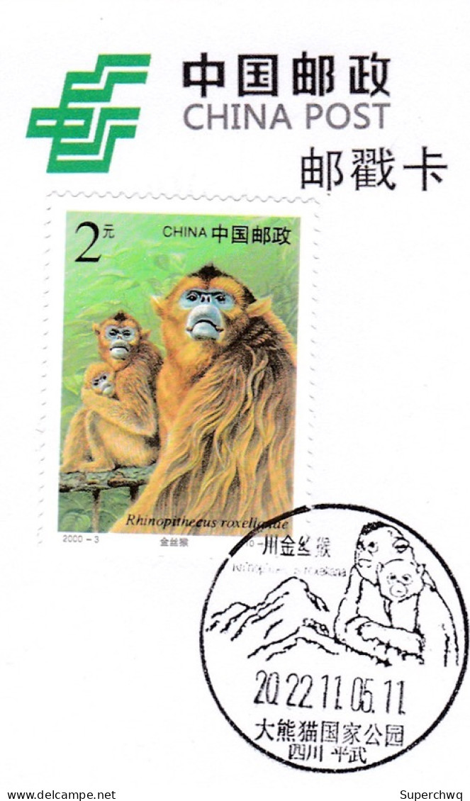 China Postmark Card,Golden Monkey - Andere & Zonder Classificatie