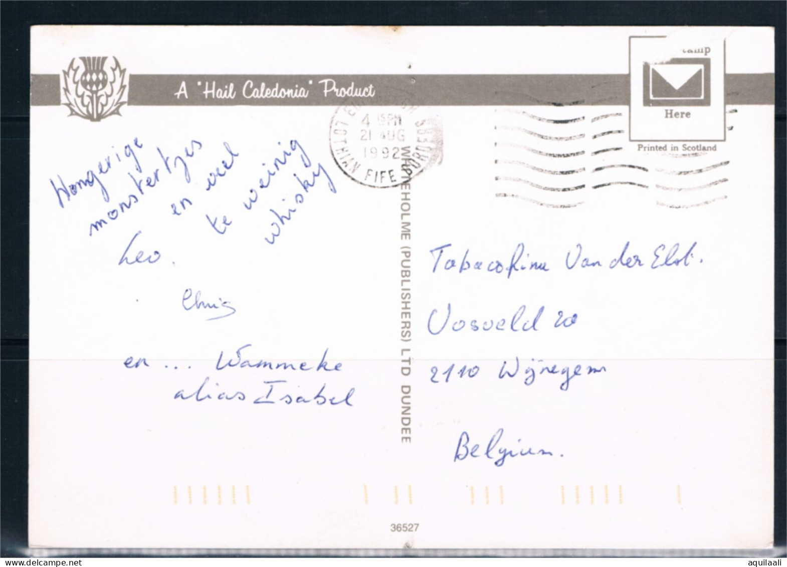 Scotland Bull, 1992 Postcard - Taureaux
