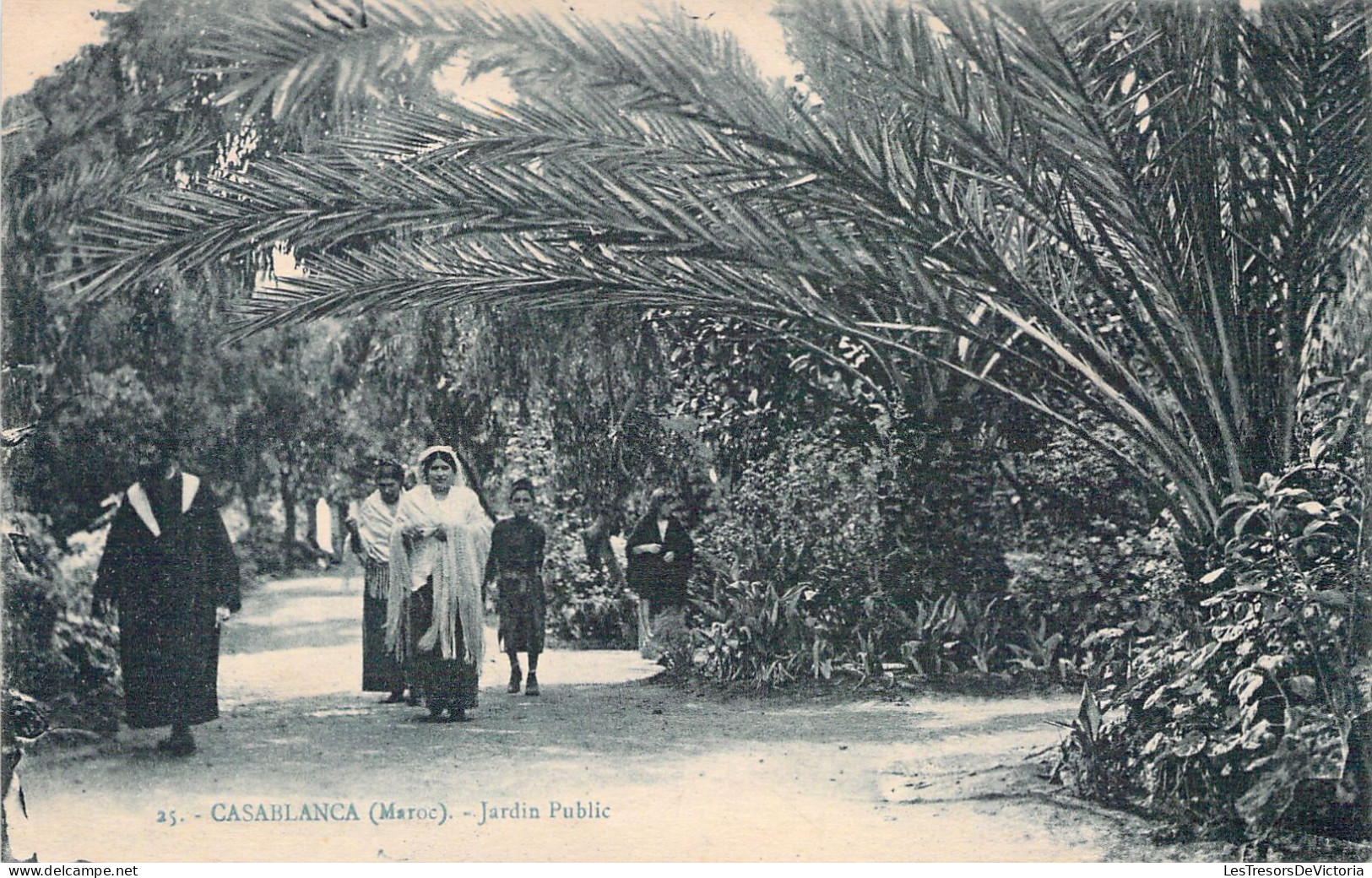 MAROC - Casablanca - Jardin Public - Carte Postale Ancienne - Casablanca