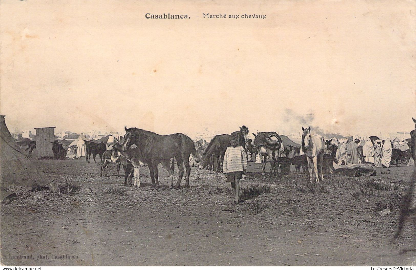 MAROC - Casablanca - Marché Aux Chevaux - Carte Postale Ancienne - Casablanca