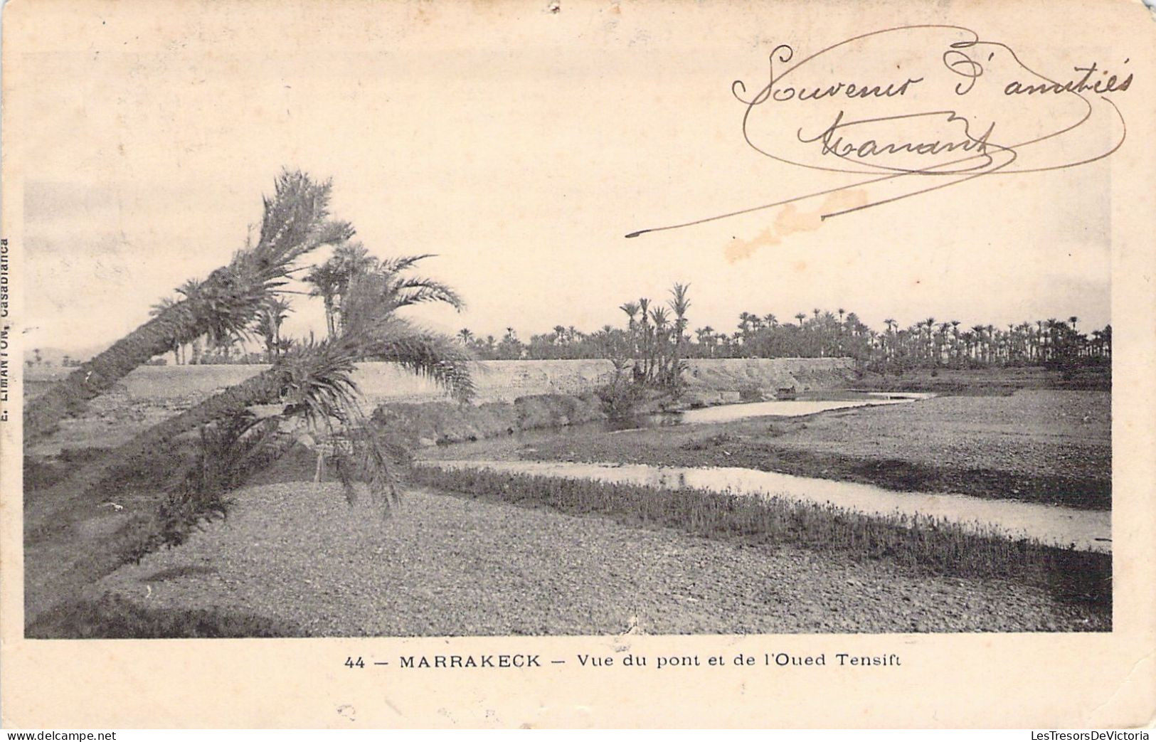 MAROC - MARRAKECH - Vue Du Pont Et De L'Oued Tensift - Carte Postale Ancienne - Marrakech