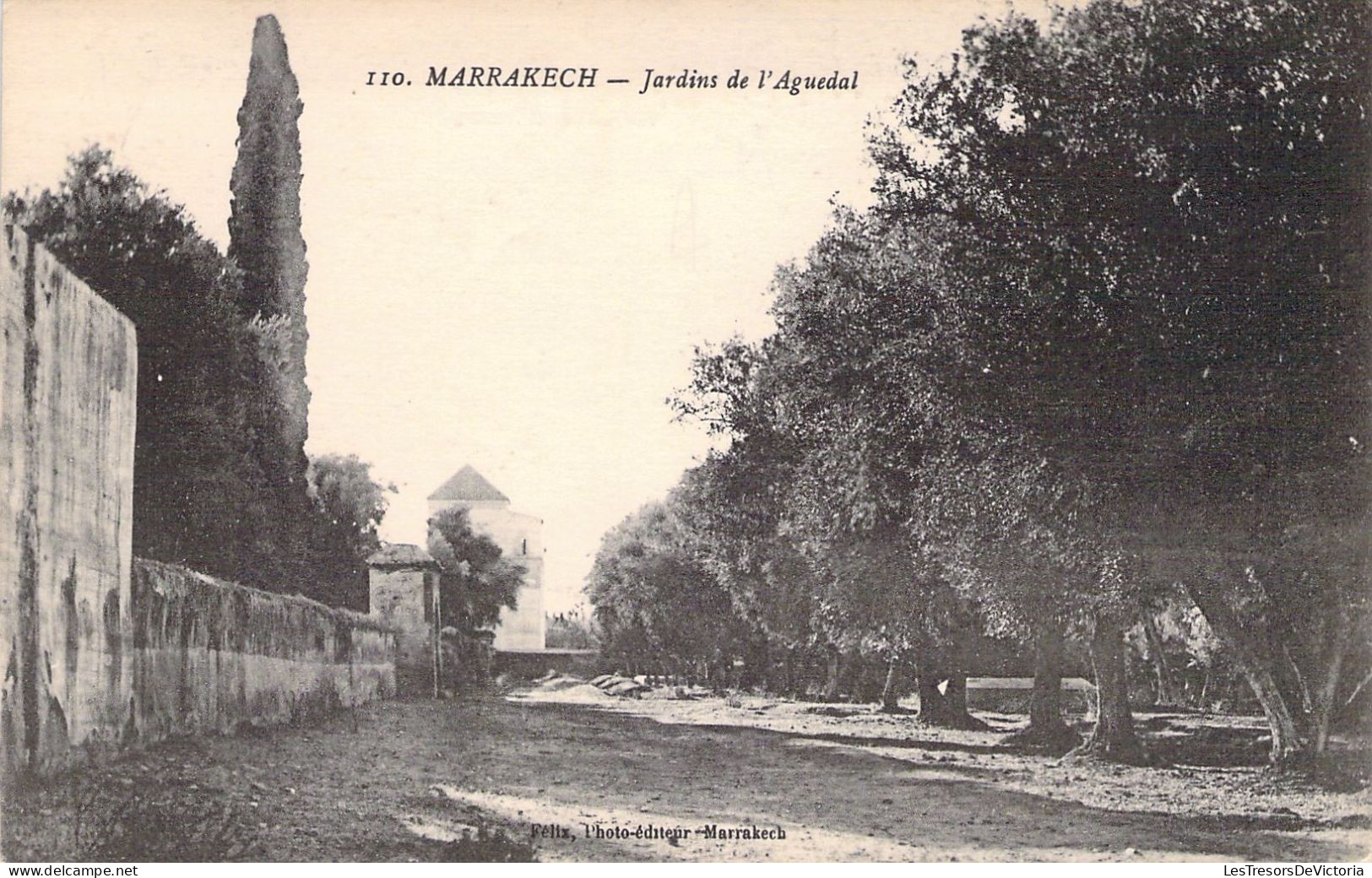 MAROC - MARRAKECH - Jardins De L' Aguedal - Carte Postale Ancienne - Marrakech