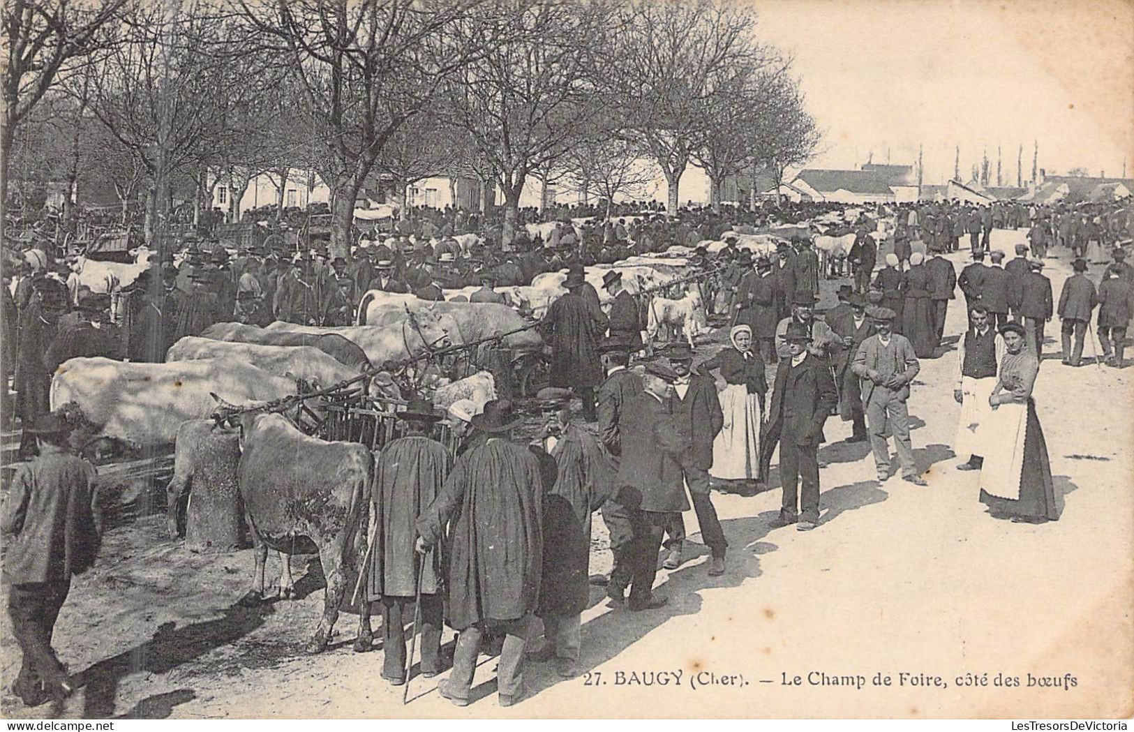 FRANCE - 18 - BAUGY - Le Champ De Foire Côté Des Boeufs - Carte Postale Ancienne - Baugy